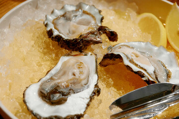Oysters with lemon. Sea Delicacies . 