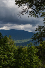 Landscape from the Blue Ridge Parkway