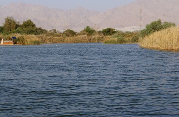 Lake in the ornithological park in early night,  selective focus, copy space