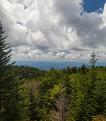 Landscapes from the Blue Ridge Parkway