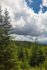 Landscapes from the Blue Ridge Parkway