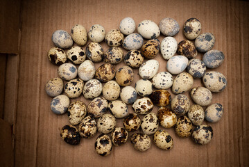 Quail eggs