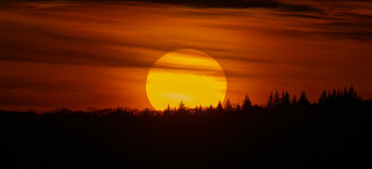 Fototapeta premium soleil d or
