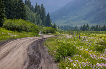 Scenic back road 734 through wildflower meadows in Colorado Rocky mountains near Crested Butte