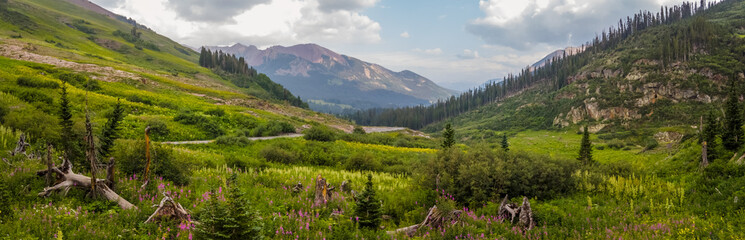 Panoramic view of wildflower meadows in Colorado rocky mountains near Crested Butte