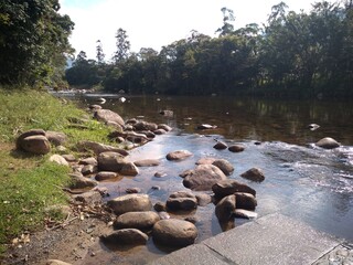 Fototapeta premium river in the park