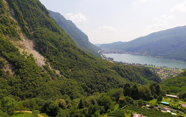 Fototapeta na wymiar Aerial view of vineyards fields in Switzerland, close to Lugano city