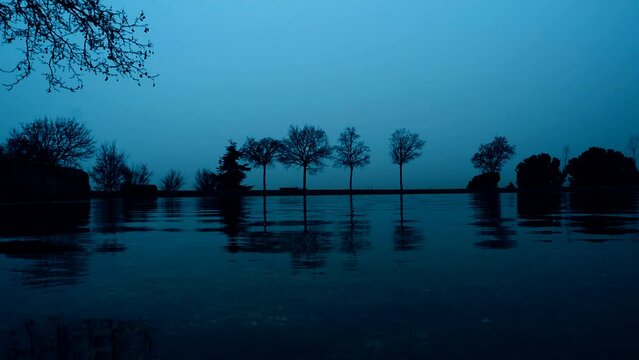 Silhouette of trees reflected in the water. Night