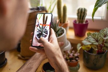 Exploring about plants on internet