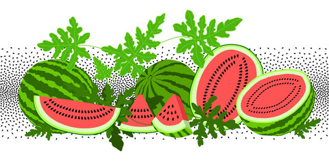 Watermelon fruits, leaves and seeds set. Hand drawn graphic summer collection. Healthy food elements.