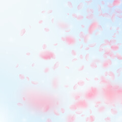 Sakura petals falling down. Romantic pink flowers gradient. Flying petals on blue sky square background. Love, romance concept. Pretty wedding invitation.