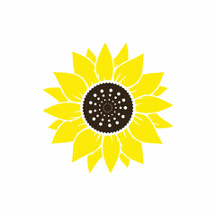 Sunflower Vector Bright Yellow Color