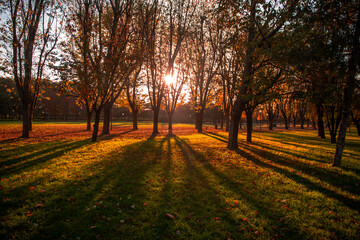 Autumn in Bursa Botanical Park 