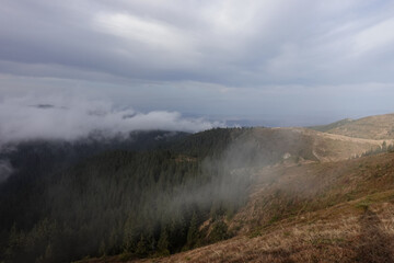 Fog Over Mountain Forest in Ciucas Mountains