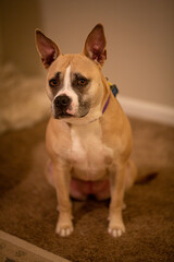 I'm Not Sure I Like This