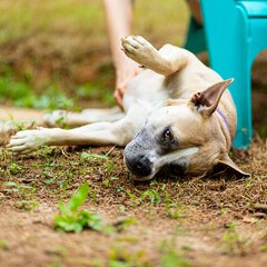 Ah, This is the Life!