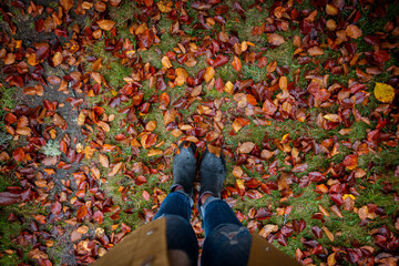 Woman standing above autumn fall red and orange leaves on the grass