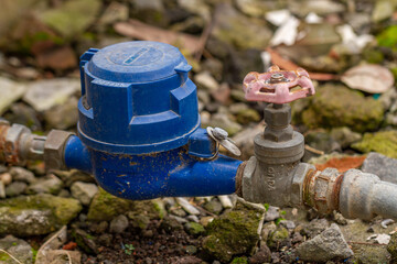 A blue faucet stop in the corner of a garden, used to control the flow of water in the garden, water is a necessity of life