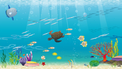 Fototapeta na wymiar Beautiful underwater and sea creatures