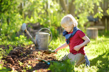 Preschooler boy digging shovel in backyard at summer sunny day. Little gardener. Seasonal working in garden.
