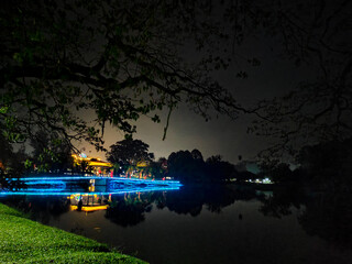 night view at Taiping Lake Garden in Malaysia.