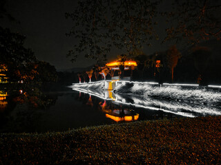 night view at Taiping Lake Garden in Malaysia.