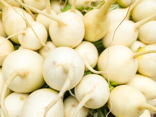 closeup view of freshly harvested white radish, edible and healthy root vegetable, taken in shallow depth of field
