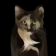 cat vector pop art illustration