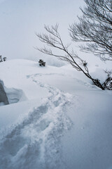 厳冬期の谷川岳