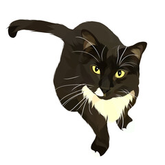 cat vector pop art illustration