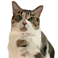 cat vector pop art illustration