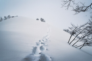 厳冬期の谷川岳