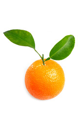 Organic Fresh Raw Grapefruit with green leaves, isolated on white background with clipping path