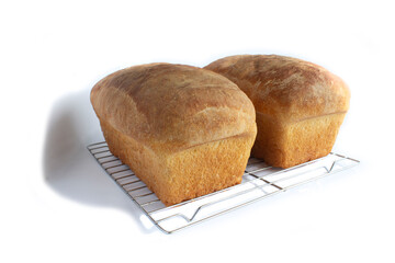 Two Hot Loaves of Homemade Yeast Bread on Wire Cooling Rack Isolated on White