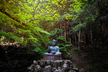 Green Buddha sits on the rock pile among forest trees in afternoon time at Japan.
