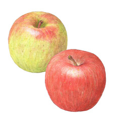 りんご２種　水彩色鉛筆イラスト