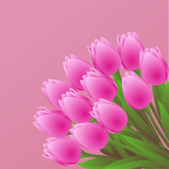 bouquet of pink tulip, 3d realistic illustration, on salmon pink background, top shot, vector.