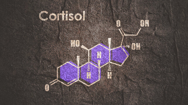 Structural formula of human steroid cortisol hormone