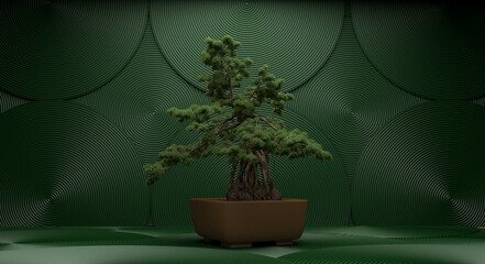 bonsai tree on a white background. 3d rendering