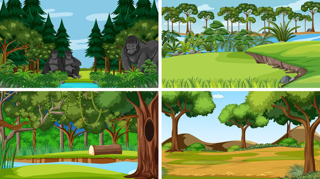 Different empty forest scenes