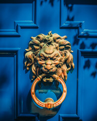 lion door color blue metal antique New York City 