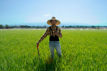 Naklejka na ściany i meble Mexican Farmer in green field