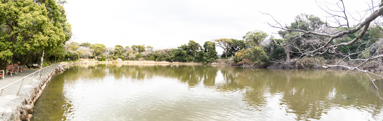 「神池 大瀬崎」伊豆 沼津市 静岡県