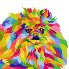 Dog vector colorful illustration