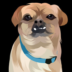 Dog vector colorful illustration