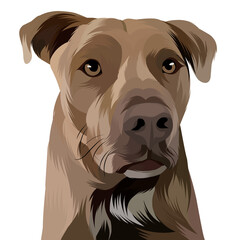 Dog vector colorful illustration