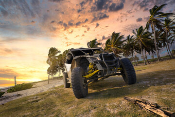 Beach bugger on sand with palm in background at colorful sunset time. Punta Cana © Maik