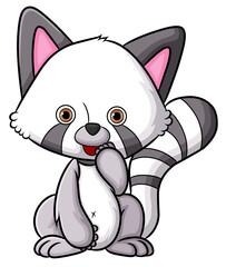 The cute raccoon is sitting and with the happy expression