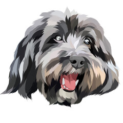 Dog vector colorful illustration