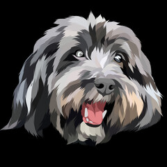 Dog vector colorful illustration